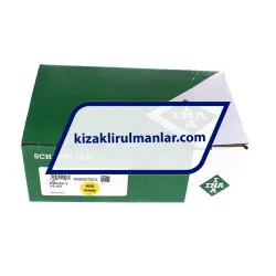 INA RWU55-E-V2-G3 rulman resim 4