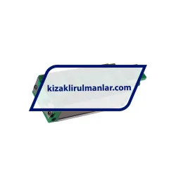 INA KWVE25-B-SL-V0-G3 rulman resim 2