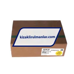 INA KWVE25-B-SL-V0-G3 rulman resim 4