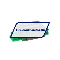 INA KWVE20-B-S-V0-G4