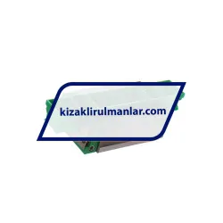 INA KWVE20-B-S-V0-G4 rulman resim 2