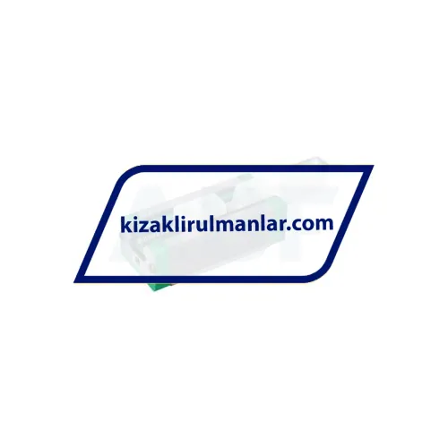 INA RWU25-E-HL-V1-G3 ürün fotoğrafı 2