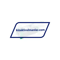 INA RWU25-E-HL-V1-G3 rulman resim 2