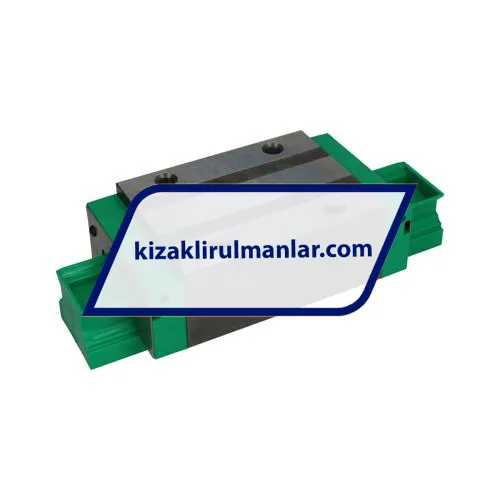 INA KWVE55-B-S-V2-G3