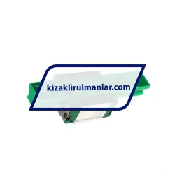INA KWVE25-B-ESC-RROC-V2-G3 rulman resim 2