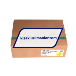 INA KWVE35-B-SL-V2-G1 rulman resim 4
