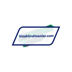 INA KWVE35-B-SL-V1-G4 rulman resim 2