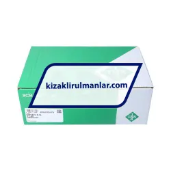 INA KWVE35-B-SL-V1-G4 rulman resim 4