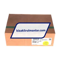 INA KWVE25-B-SNL-V2-G3 rulman resim 4