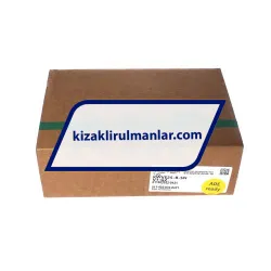 INA KWVE25-B-SN-V1-G2 rulman resim 4