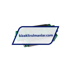 INA KWVE20-B-SNL-V1-G3 rulman resim 2