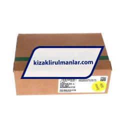 INA KWSE20-L-V0-G2 rulman resim 4