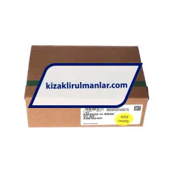 INA KWSE20-H-RROC-V1-G3 rulman resim 4