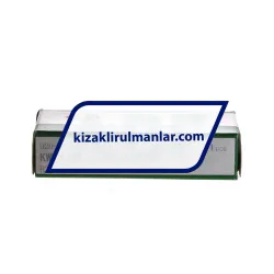 INA KWEM09-L-G2-V0 rulman resim 2