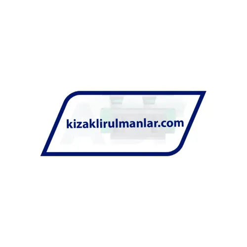 INA RWU25-E-V3-G2 ürün fotoğrafı 2