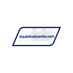 INA RWU25-E-V3-G2 rulman resim 2