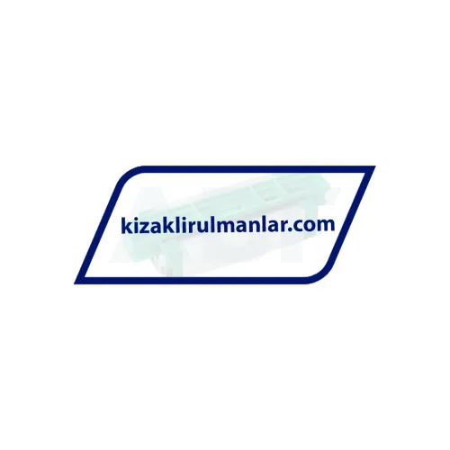 INA KWVE25-B-SNL-RROC-V2-G3 ürün fotoğrafı 2