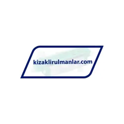 INA KWVE25-B-SNL-RROC-V2-G3 rulman resim 2