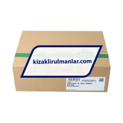 INA KWVE25-B-SNL-RROC-V2-G3 rulman resim 4