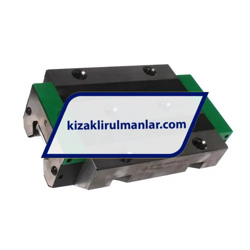 INA RWU55-E-L-V4-G2