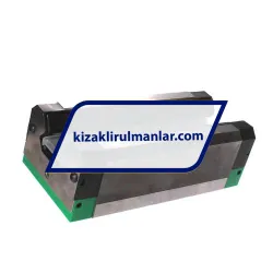INA RWU55-E-HL-V3-G2 rulman resim 2