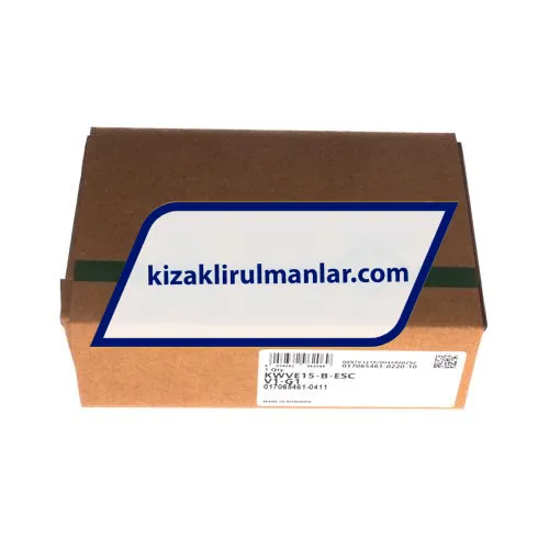 INA KWVE15-B-ESC-V1-G1 ürün fotoğrafı 4