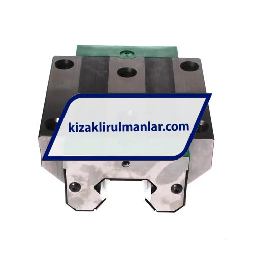 INA RWU55-E-V1-G2 ürün fotoğrafı 3