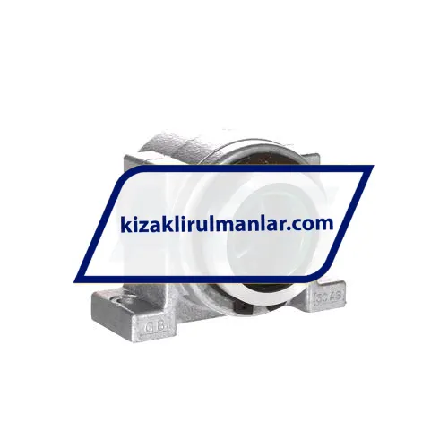 INA PAGB3068PPAS ürün fotoğrafı 2