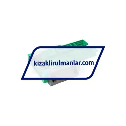 INA KWVE35-WL-UG-V1-G3 rulman resim 2