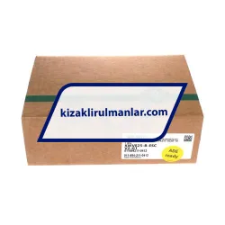 INA KWVE25-B-ESC-V2-G1 rulman resim 4