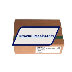 INA KWVE20L G4 V0 rulman resim 4