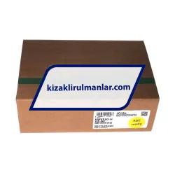 INA KWSE30-H-G2-V2 rulman resim 3