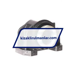 SKF LUCR20PA