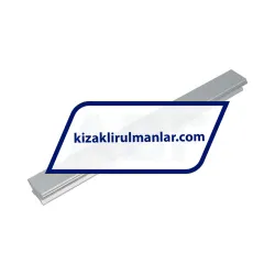 INA LFS32-OL-300 rulman resim 2