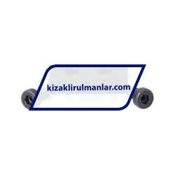 INA ANS-LFS32-N rulman resim 2
