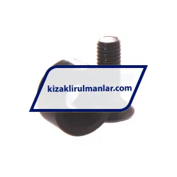 INA PASTP20