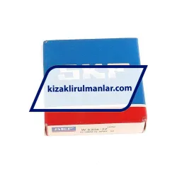 INA BPLU55-FE rulman resim 4