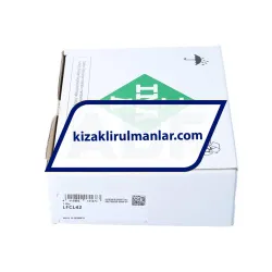 INA LFCL42 rulman resim 3