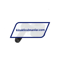 INA PASTP42 rulman resim 2