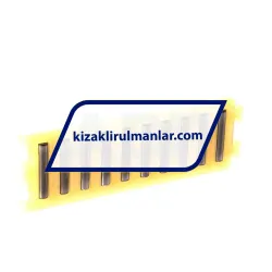 INA FF3525/0-2