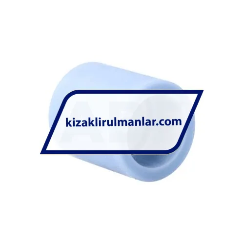 SKF LPBR25