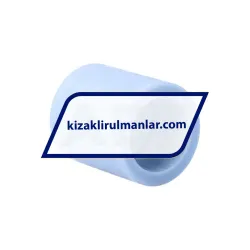 SKF LPBR25