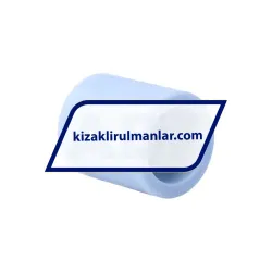 SKF LPBR25 rulman resim 2