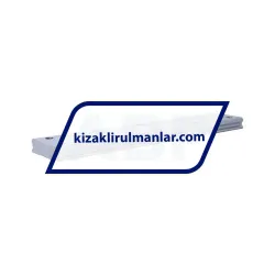THK SHW35+360L rulman resim 2