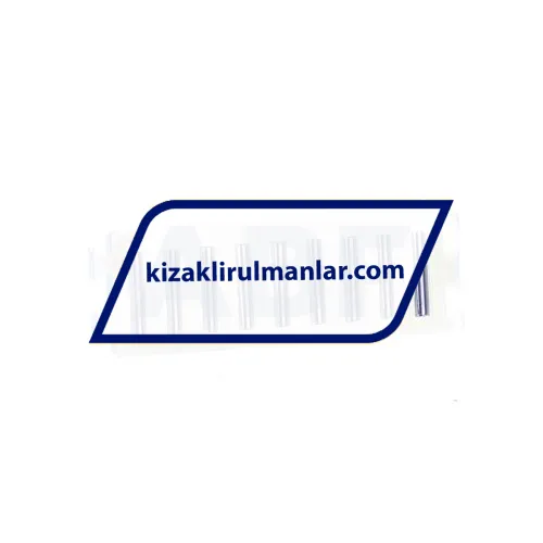 INA FF3020