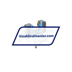 STAR 1619-725-00 rulman resim 2